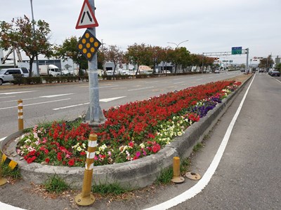 喜迎新春　中市打造中央分隔島小花海